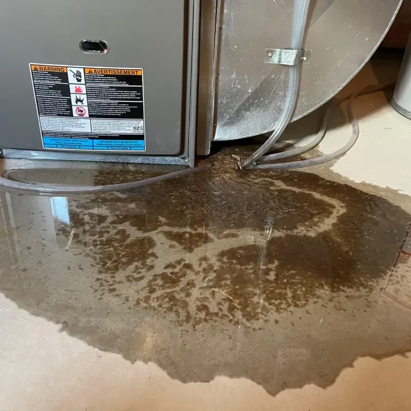 Appliance Leak Cleanup in Warren, OH